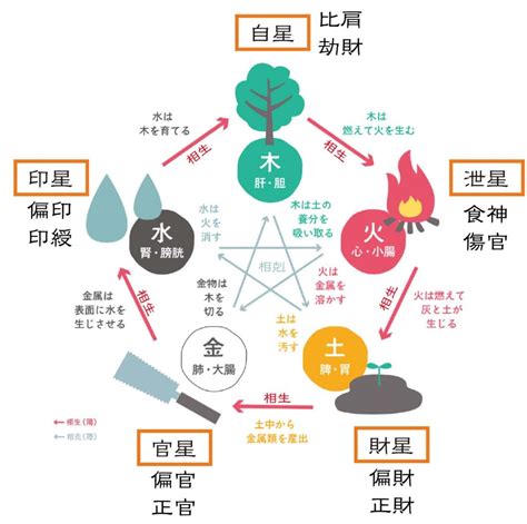 正財 偏財|四柱推命‐通変星で見た相性、全55パターン解説